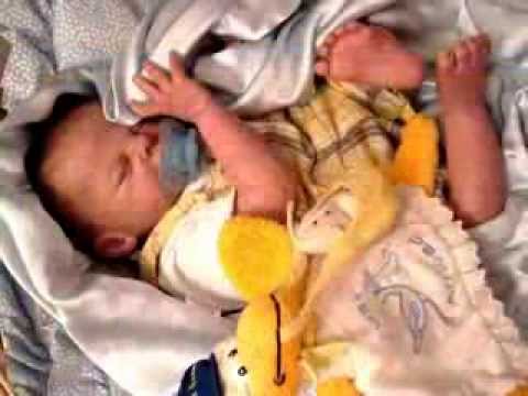 download lagu mp3 mp4 Love Doll Gallery, download lagu Love Doll Gallery gratis, unduh video klip Love Doll Gallery