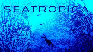 Seatropica: Terraforming