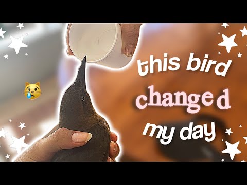 LAST DAY WITH ME on a TROPICAL ISLAND ☆ Island Diaries