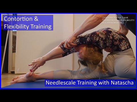 Contortion Training by Flexyart 195 Needle Training:   - Also for Yoga, Poledance, Ballet, Dance