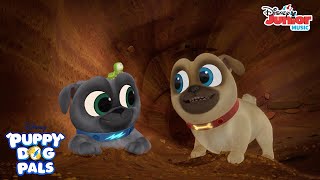 I Love Dirt  Music Video  Puppy Dog Pals  Disney J