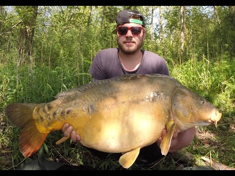 Bissdrill Ansitz auf Karpfen vom Boot-Doppelt-Drill