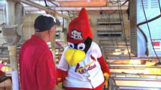 preview picture of video 'Fredbird visits the Fisher hog farm in Middletown, MO'