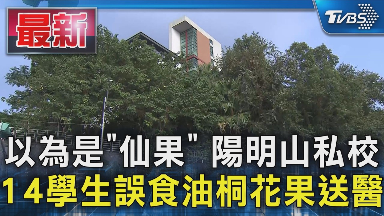 以為是「仙果」 陽明山私校 14學生誤食油桐花果送醫|TVBS新聞 @TVBSNEWS01