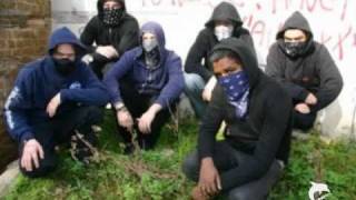 The Future's Not What it Used to Be - King Blues