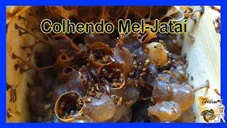 Miniatura do vídeo