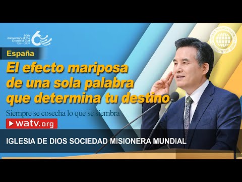 Siempre se cosecha lo que se siembra | IDDSMM, Dios Madre