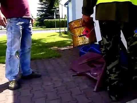 Iruś sprzedawca dywanów siada na krześle. Crash!