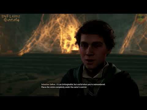 Hogwarts Legacy - In the Shadow of Time (Quest Walkthrough)