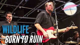 Wildlife - Born To Ruin (Live at the Edge)