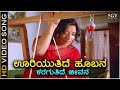 Uriyutide Hoobana HD Video Song Mududida Tavare Aralithu Lakshmi S Janaki Ananthnag