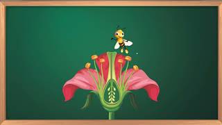 This is the Pollination Process in Flowers | Flower Parts | Generative Reproduction