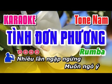 Karaoke Tình Đơn Phương | Tone Nam | Karaoke Nhạc Việt