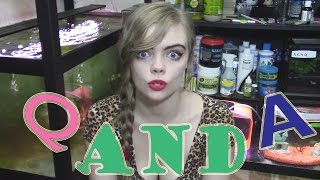 Q AND A! RATS PEE ON ME!!