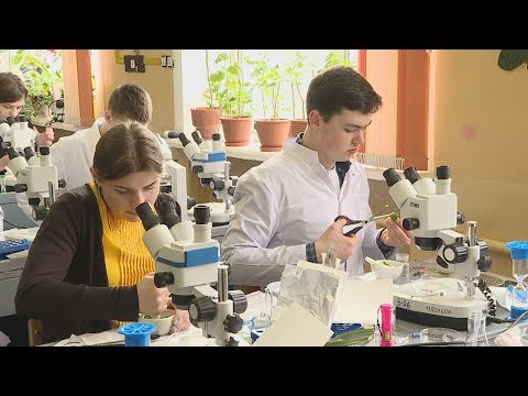 Заключительный этап олимпиады-2019 видео
