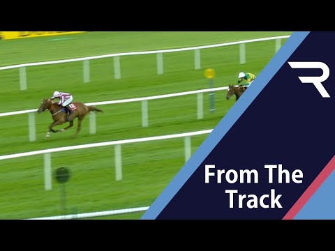 "I'm completely surprised" 😊 - and so are we after 300/1 chance Sawbuck strikes at Punchestown