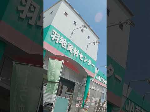 冬に向けて果樹を準備するにはどうすればよいですか？彼らをどうやって守るのか？  庭園