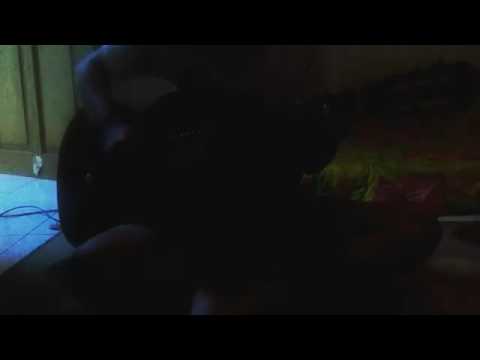 #CCAVARO - Love Yourself x Photograph