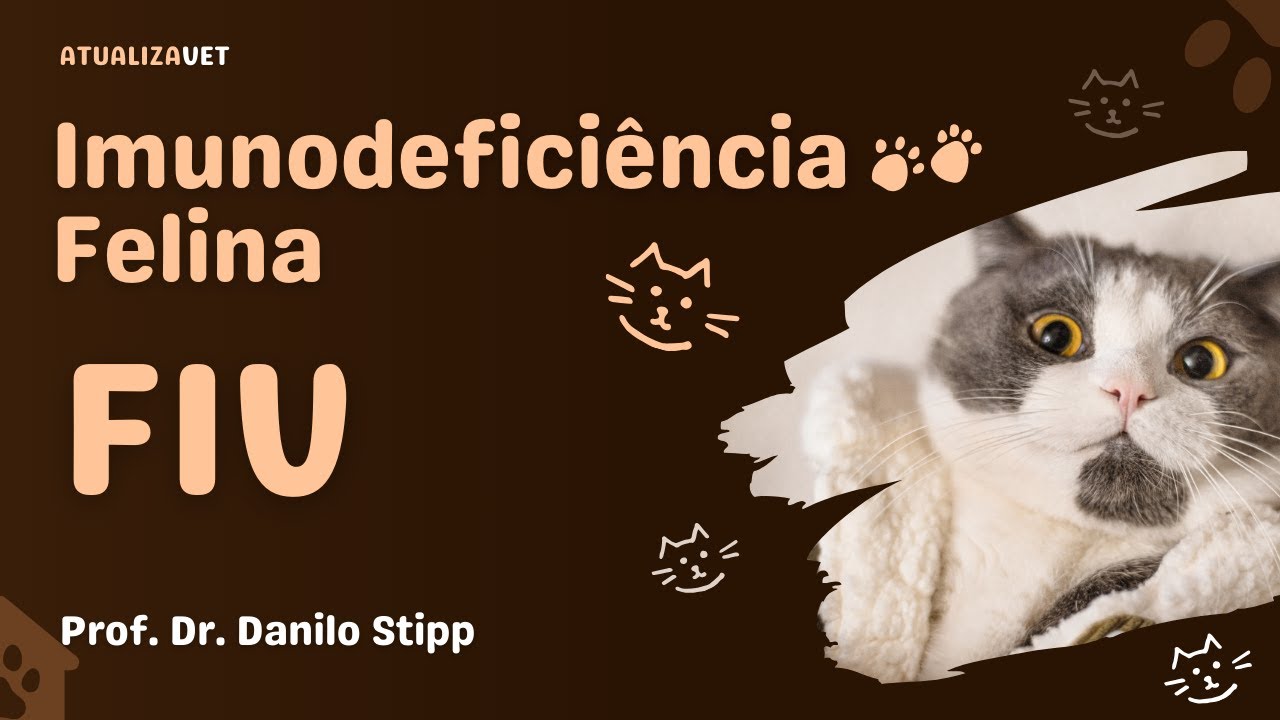 Imunodeficiência Felina (FIV) - AtualizaVet