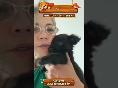 Vídeo de Zeca