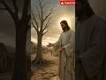 Jesus Touched The Tree Then The Rain Fell