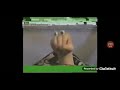 Oobi Dailynoggin Com 2007 2008