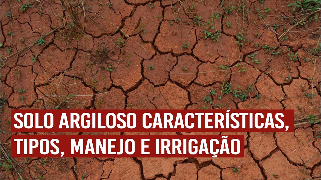 Solo argiloso: características, tipos, manejo e irrigação