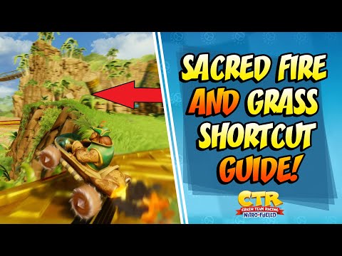 PREPARE FOR THE DEVELOPER TIMES! Papu's Pyramid Guide | Crash Team Racing Nitro Fueled (CTRNF)