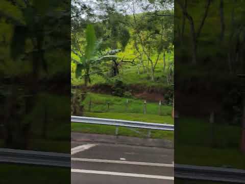 quase Santa Branca, São Paulo