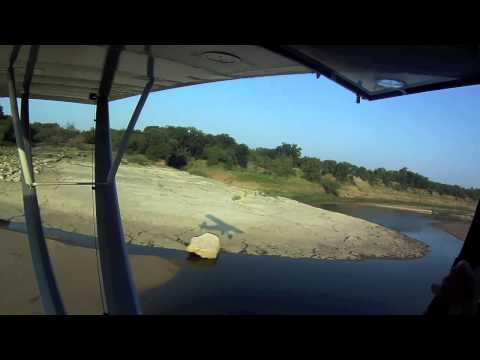 Carbon Cub - By Cub Crafters - Flying Low