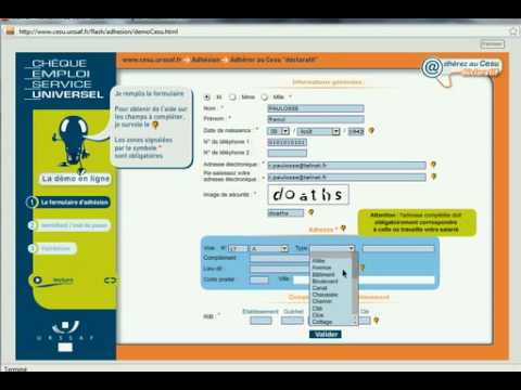 comment declarer cheque cesu