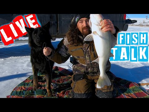 Fishing NOT Catching! Amazing Underwater Filming