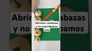 El misterio de las calabazas 😧