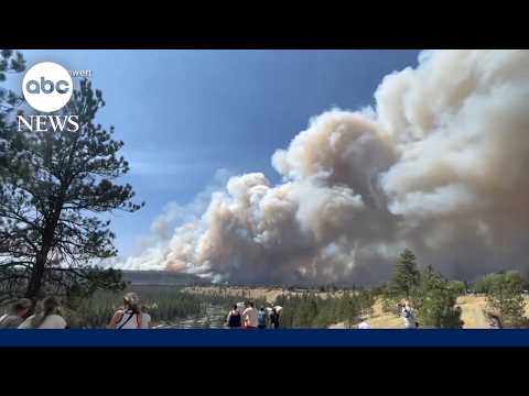 Good Morning America: News to start your day | August 3
