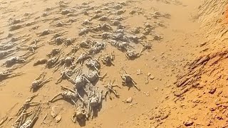 Scientist Finds Something on Mars, But No One Believes Him