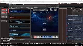 Video thumbnail for HANDS ON - Sonuscore / Native Instruments Mallet Flux by Dirk Ehlert