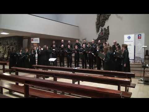 Richard  Dubra - O crux ave