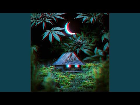 Mente Insana (feat. Santos Cali High)