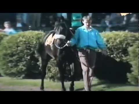 Nagroda Haracza - 7.06.1997 - Haiti (Miami Prince - Harpia)