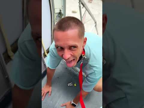 Đó là cún hay người vậy 😳