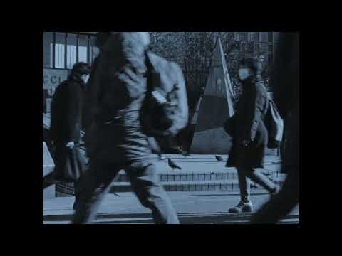 BIFF2025 Trailer | 명암의 벌레 INTERFACE | 와이드 앵글 - 아시아 단편 경쟁