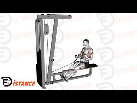 Rowing (tirage) assis avec corde à la poulie - Exercice Rowing (tirage) assis avec corde à la poulie en vidéo