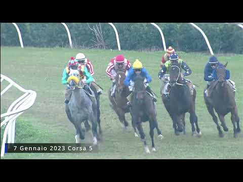 Galoppo Corse del 7 Gennaio 2023