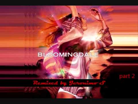 Bloomingdale (Jeronimo S mix) part 2 - live mixed on Queensday 2012
