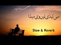 Chola Yaar Sewaya Ha Zia Rokhri Slow And Reverb