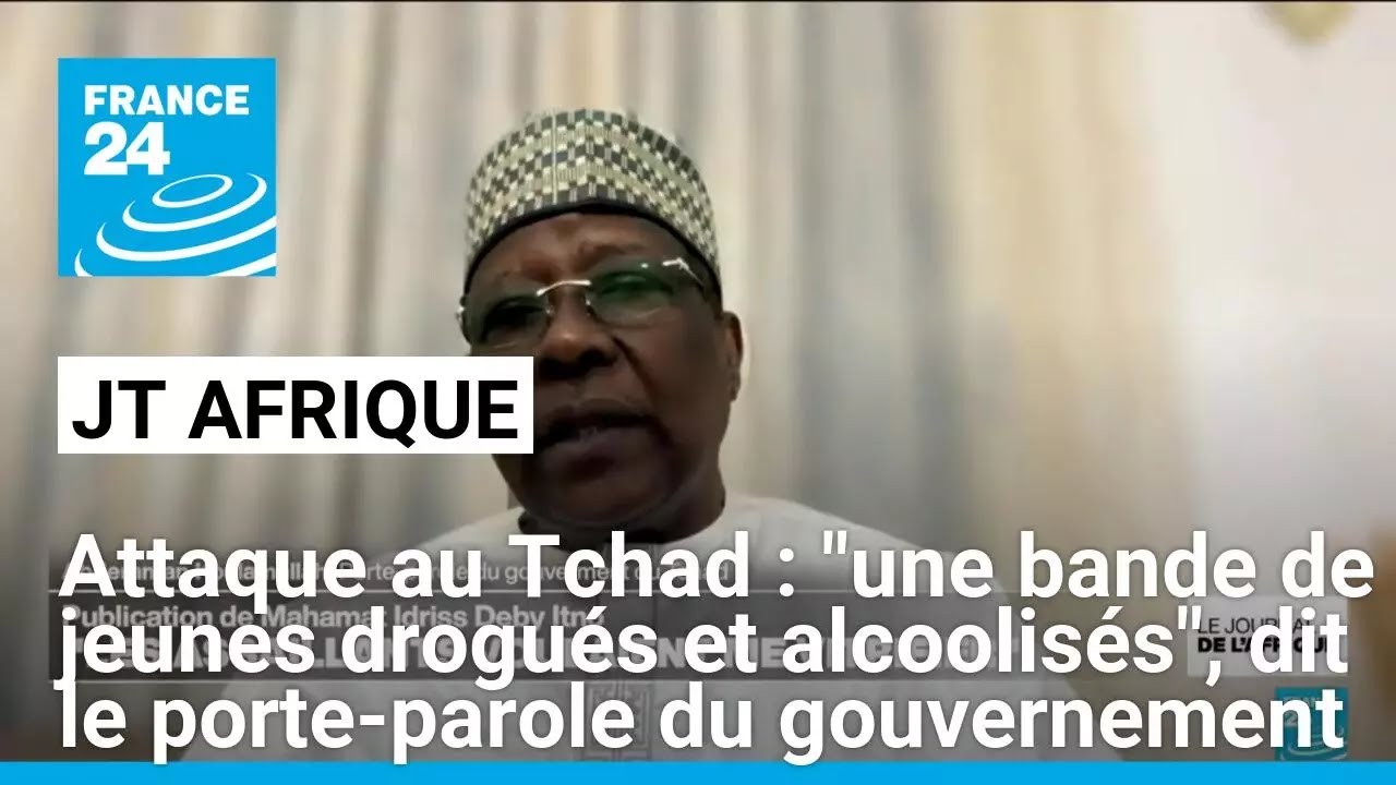 Attaque au Tchad : "une bande de jeunes drogués et alcoolisés", dit le porte-parole du gouvernement