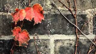 Laura Fygi - Autumn Leaves