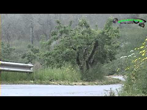 29° RALLY DELLA VALDINIEVOLE 2013