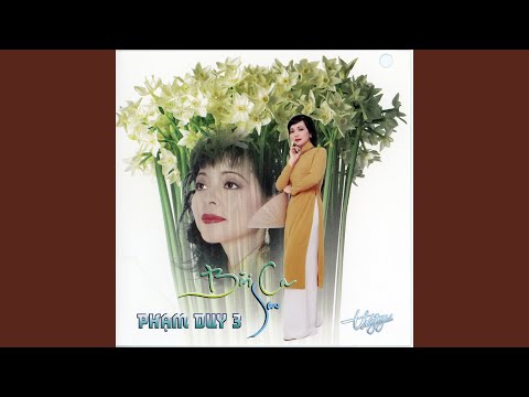 Thể hiện bởi Duy Quang
