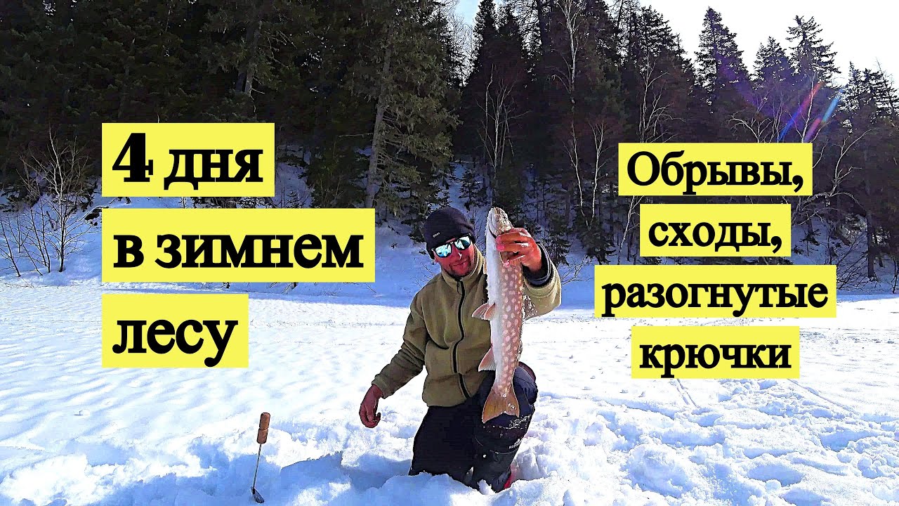 4 дня в зимнем лесу. Обрывы, сходы, разогнутые крючки